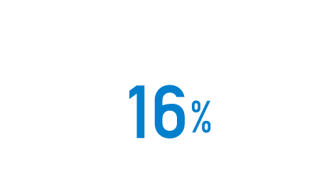16%
